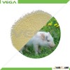 animal feed China supplier soy bean meal price