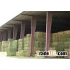 high quality Animal feed , alfalfa hay for sale