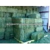Alfalfa Hay,Alfalfa Pellets,Timothy Hay