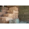 Quality Dry Alfalfa Hay for sale