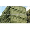 Piles Of Alfalfa Hay Pellet For Sale