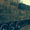Alfafa Hay .Timothy Hay,Animal feed for sale