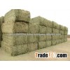 Single Pressed Alfalfa Hay For Sale
