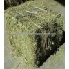 New Brand Of Alfalfa Hay