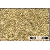 Wheat, Barley, Canary Seeds, Clove Grass, Timothy Hay Best Price for sale