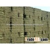Alfalfa Hay, Best Quality Animal Feed Available