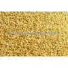 Grade A Quality Yellow Millet Alfalfa Hay