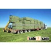Bales Of Grade A Alfalfa Hay For Delivery