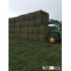 Square 3x3 Alfalfa