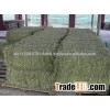 ALFALFA HAY - Low Grade - Double Compressed Big Bales - 14-16 % Protein - for Sale