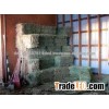 Alfalfa Hay, Rhodes Grass, Oats Hay