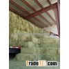 Single Bales Of Quality Alfalfa Hay