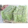 Best Alfalfa hay animal feed