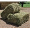 HIGH QUALITY ALFALFA HAY