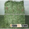 Sample Bales Of Alfalfa Hay Bales For Sale