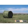 Alfalfa hay/ Alfalfa Pellets