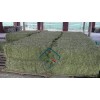 High Protein Sun Dried Alfalfa Hay for sale