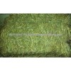 Super High Protein Sun Dried Alfalfa Hay