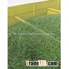 Alfalfa Pellet for Feed (Cattles and other Animals)