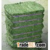 HIGH QUALITY ALFALFA HAY FOR SALE