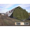 cheap fine alfalfa bales FROM
