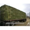 Alfalfa Hay bales Grade A lucerne Bales alfalfa Alfafa Hay Bales / Grade A