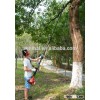 TELESCOPIC LONG REACH POLE CHAINSAW