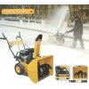 Hot selling high quality and reasonable price new type snow blower