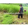 Backpack brush cutters multi-function brush cutter gas brush cutter