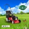 6.0HP 19inch Lawn mower