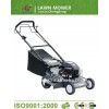 Self propelled lawn mower CJ18G3IN1B40