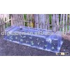 long big propagator dome
