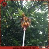 Fruit Picker With Aluminium Handle