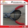 Pruning Shear