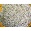 quinoa grain