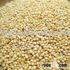 Quinoa , White Organic