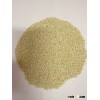 Quinoa grain