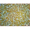 Yellow Argentine Popcorn