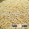 Organic Real Quinoa - NOP -EU