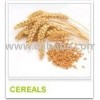Cereals