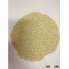 Quinoa grain