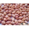 Peanut Selling