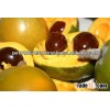 ORGANIC LUCUMA POWDER