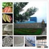 Dehydrated potato powder