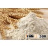 Top quality Wheat flour best price 2016 promotions