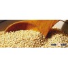 Kiwicha / Amaranto Powder Organic