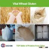 Vital Wheat Gluten 75%/82%