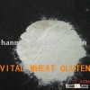 Wheat Gluten Meal