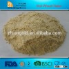gluten crude vital Wheat gluten
