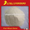 Vital Wheat Gluten Food or Feed grade 75%